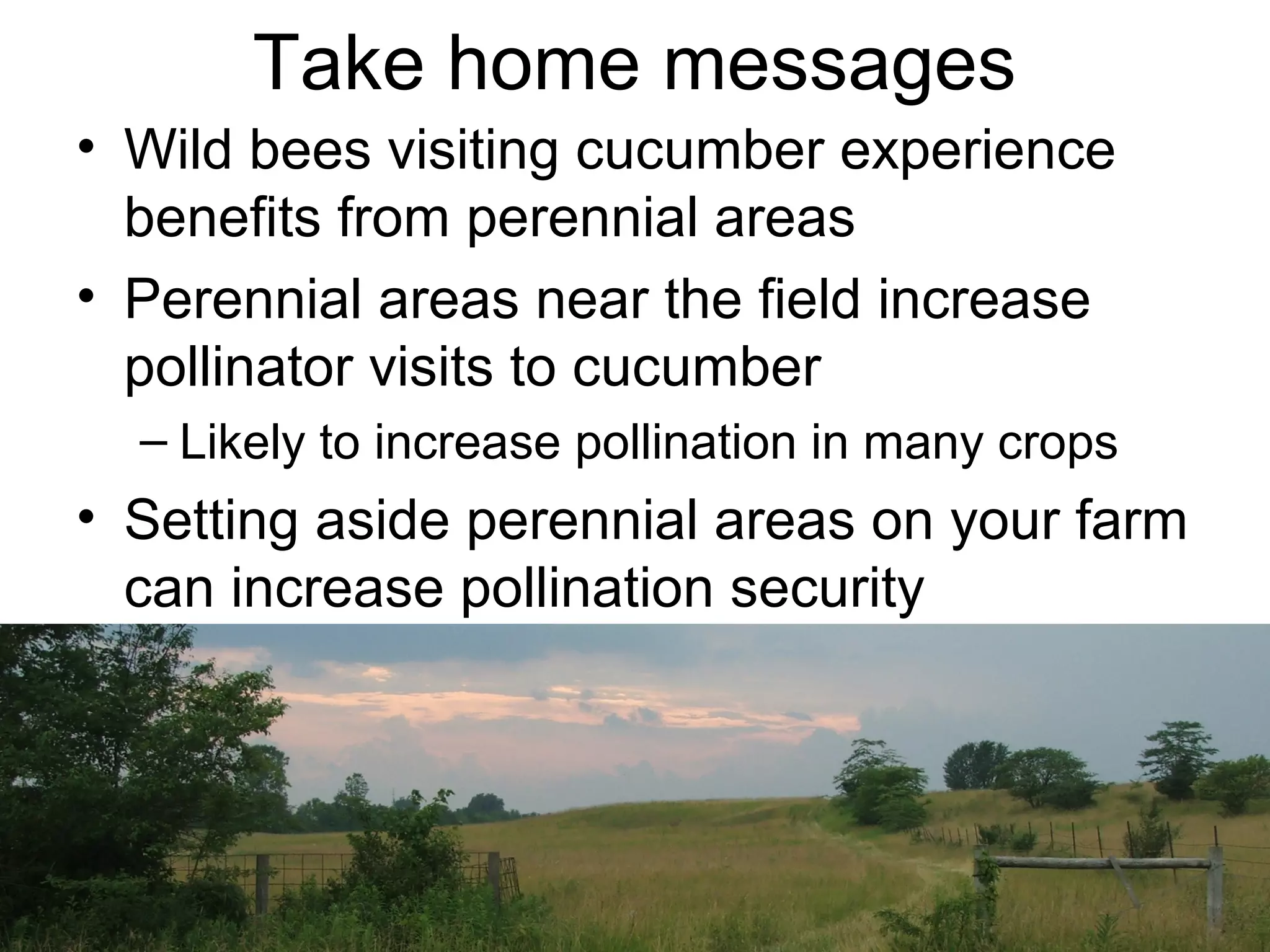 Take home messages
• Wild bees visiting cucumber experience
benefits from perennial areas
• Perennial areas near the field increase
pollinator visits to cucumber
– Likely to increase pollination in many crops
• Setting aside perennial areas on your farm
can increase pollination security
 