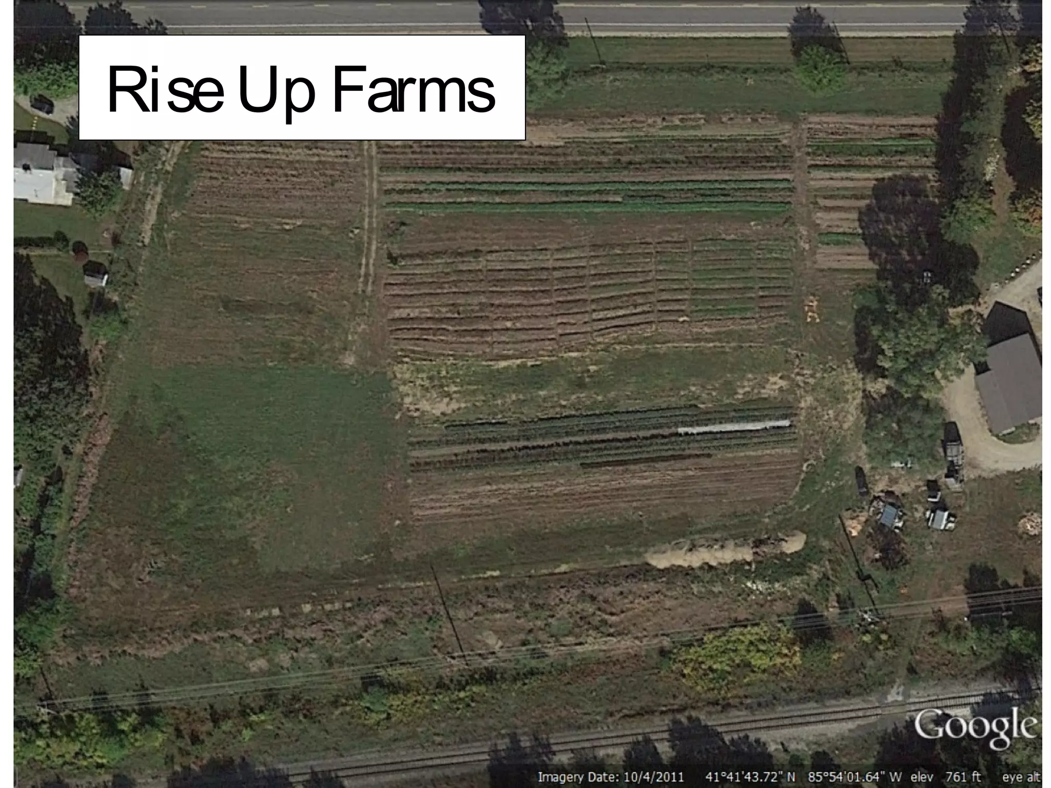 Rise Up Farms
 