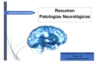 Laboratorio de Neurología
Inés Gabriela Vásquez Terrero (100268374)
Sección .06
Dra.Deyanira Ramirez Navarro
Resumen
Patologías Neurológicas
 