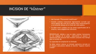 INSICIONES Y SUTURAS literatura de te linde | PPTX