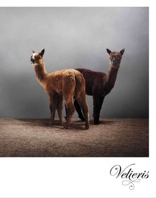 Inside.interior.design.review..august.2012