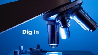 Dig In
 