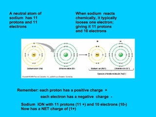 A neutral atom of sodium  has 11 protons and 11 electrons When sodium  reacts chemically, it typically looses one electron; giving it 11 protons and 10 electrons Remember: each proton has a positive charge  + each electron has a negative  charge  - Sodium  ION with 11 protons (11 +) and 10 electrons (10-) Now has a NET charge of (1+) 