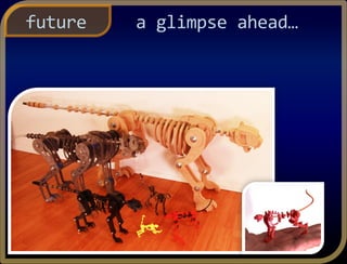 a glimpse ahead…future
 