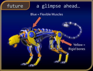 a glimpse ahead…future
Yellow =
Rigid bones
Blue = Flexible Muscles
 