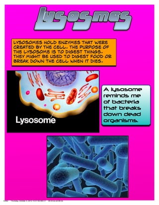 14462   Thursday, October 4, 2012 10:47:09 AM CT   00:25:bc:e3:08:2a
 