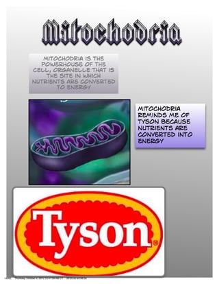 14462   Thursday, October 4, 2012 10:47:09 AM CT   00:25:bc:e3:08:2a
 