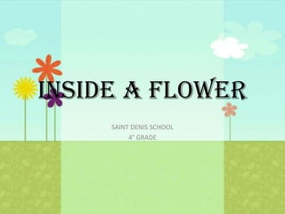 INSIDE A FLOWER
SAINT DENIS SCHOOL
4° GRADE

 