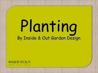 Planting
By Inside & Out Garden Design
 