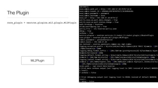 The Plugin
ML2Plugin
core_plugin = neutron.plugins.ml2.plugin.Ml2Plugin
 