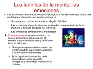 Los ladrillos de la mente: las
emociones
Las emociones: son reacciones psicofisiológicas a los estímulos que recibe una
p...
