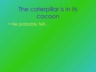 The caterpillar is in its cocoon He probably felt… 