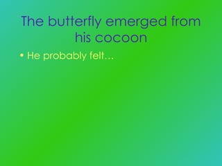 The butterfly emerged from his cocoon He probably felt… 