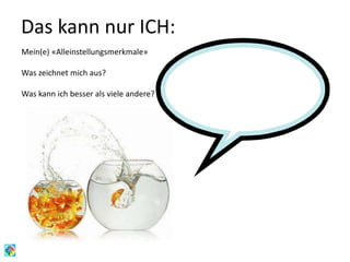 Das kann nur ICH:
Mein(e) «Alleinstellungsmerkmale»
Was zeichnet mich aus?
Was kann ich besser als viele andere?
 