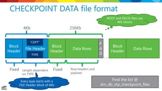 Inside SQL Server In-Memory OLTP | PPTX