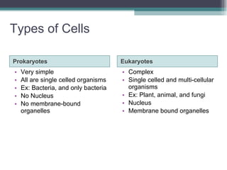 Types of Cells Prokaryotes Eukaryotes Very simple All are single celled organisms Ex: Bacteria, and only bacteria No Nucleus No membrane-bound organelles Complex Single celled and multi-cellular organisms Ex: Plant, animal, and fungi Nucleus Membrane bound organelles 