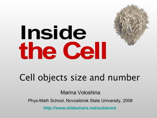 Marina Voloshina Phys-Math School, Novosibirsk State University, 2008 http://www.slideshare.net/outdoors   Cell objects size and number the Cell Inside 