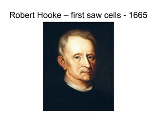 Robert Hooke – first saw cells - 1665
 