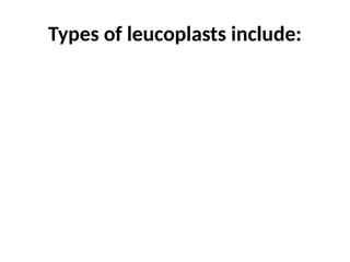 Types of leucoplasts include:
 