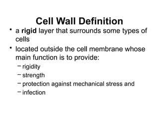 Cell Wall Definition
• a rigid layer that surrounds some types of
cells
• located outside the cell membrane whose
main function is to provide:
– rigidity
– strength
– protection against mechanical stress and
– infection
 