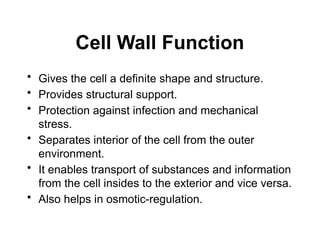 Cell Wall Function
• Gives the cell a definite shape and structure.
• Provides structural support.
• Protection against infection and mechanical
stress.
• Separates interior of the cell from the outer
environment.
• It enables transport of substances and information
from the cell insides to the exterior and vice versa.
• Also helps in osmotic-regulation.
 