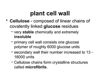plant cell wall
• Cellulose - composed of linear chains of
covalently linked glucose residues
– very stable chemically and extremely
insoluble
– primary cell wall consists one glucose
polymer of roughly 6000 glucose units
– secondary wall their number increased to 13 -
16000 units
– Cellulose chains form crystalline structures
called microfibrils.
 
