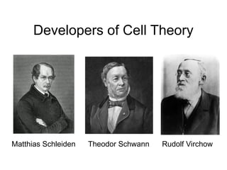 Developers of Cell Theory
Matthias Schleiden Theodor Schwann Rudolf Virchow
 