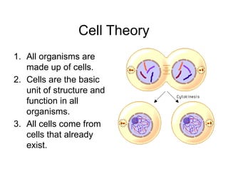 Cell Theory
1. All organisms are
made up of cells.
2. Cells are the basic
unit of structure and
function in all
organisms.
3. All cells come from
cells that already
exist.
 