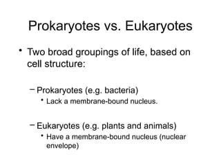 Prokaryotes vs. Eukaryotes
• Two broad groupings of life, based on
cell structure:
– Prokaryotes (e.g. bacteria)
• Lack a membrane-bound nucleus.
– Eukaryotes (e.g. plants and animals)
• Have a membrane-bound nucleus (nuclear
envelope)
 