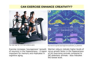 CAN EXERCISE ENHANCE CREATIVITY?




                                                                                Areas affected in AD




                                                                         Areas affected by normal aging
Proc. Natl. Acad. Sci. U.S.A 104(13):5638-43 (2007).   http://www.sfn.org/index.aspx?pagename=publications_rd_alzheimers


Exercise increases ‘neurogenesis’ (growth              Warmer colours indicate higher levels of
of neurons) in the hippocampus - a region              nerve growth factor in the hippocampus
important for memory and implicated in                 of [A] exercising animals compared to
cognitive aging.                                       [B] sedentary animals - blue indicates
                                                       the lowest level.
 