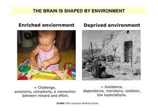 THE BRAIN IS SHAPED BY ENVIRONMENT


  Enriched enviornment                      Deprived environment




          = Challenge,                               = Avoidance,
autonomy, complexity, a connection          dependence, monotony, isolation,
    between reward and effort.                     low expectations.

                       Credit: NYU Langone Medical Center
 