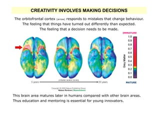 CREATIVITY INVOLVES MAKING DECISIONS
The orbitofrontal cortex (arrow) responds to mistakes that change behaviour.
    The feeling that things have turned out differently than expected.
              The feeling that a decision needs to be made.
                                                               IMMATURE




                         (UPSIDE DOWN VIEW)
                                                                 MATURE




This brain area matures later in humans compared with other brain areas.
Thus education and mentoring is essential for young innovators.
 