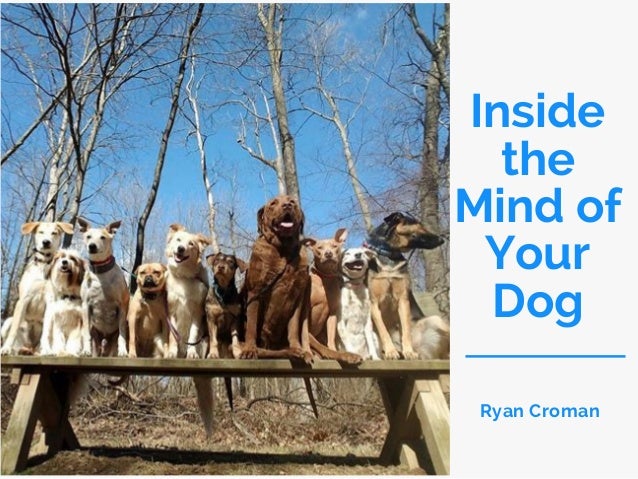 Inside The Mind Of Your Dog Ryan Croman Inside The Mind Of Your Dog Ryan Croman