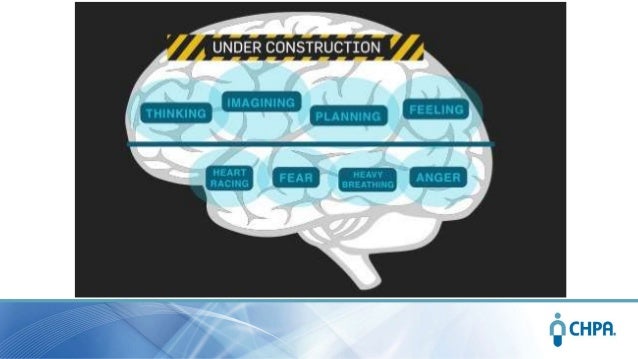 "Inside the Teen Brain: Is there An App for That?"