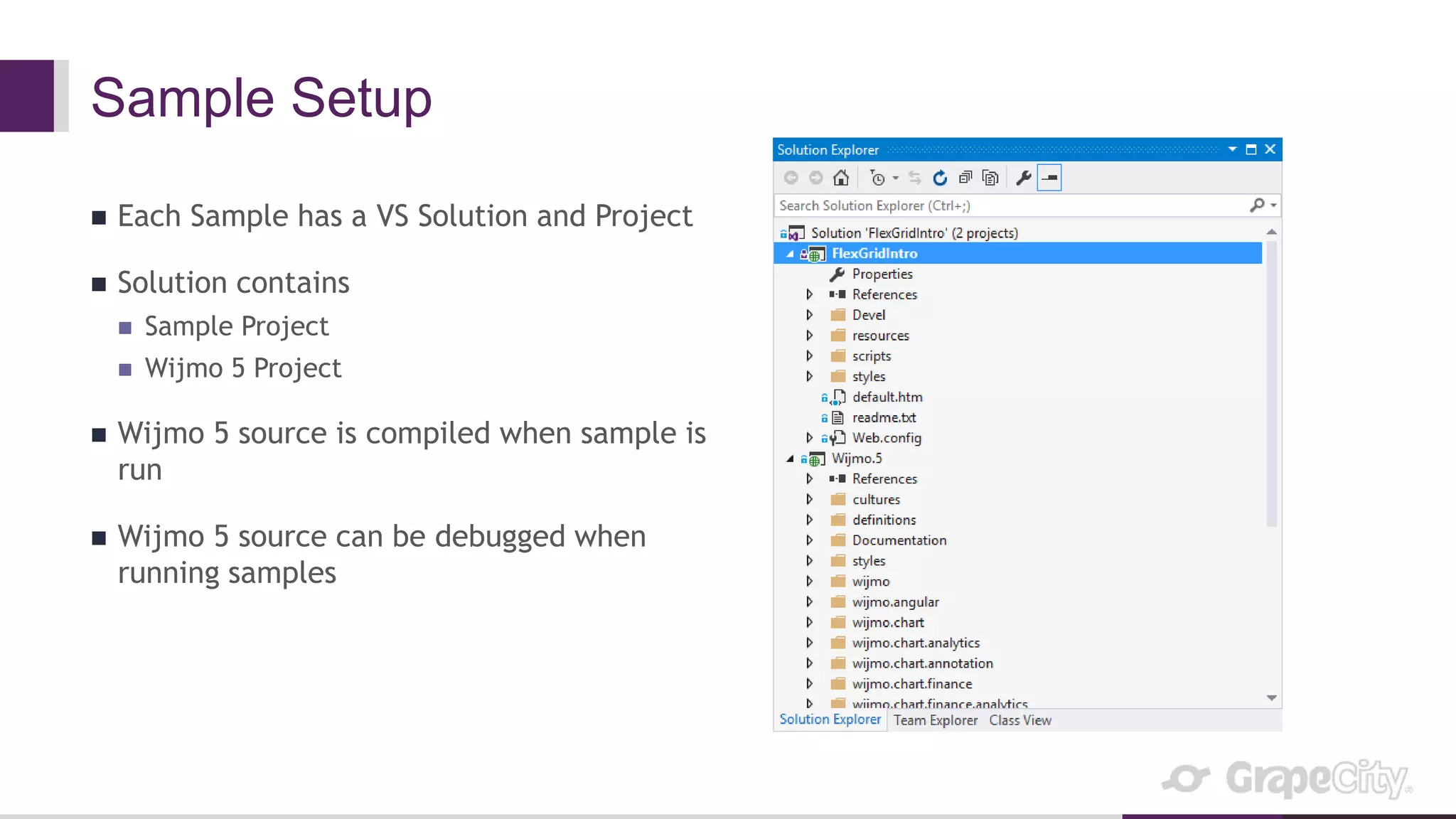 Sample Setup
 Each Sample has a VS Solution and Project
 Solution contains
 Sample Project
 Wijmo 5 Project
 Wijmo 5 source is compiled when sample is
run
 Wijmo 5 source can be debugged when
running samples
 