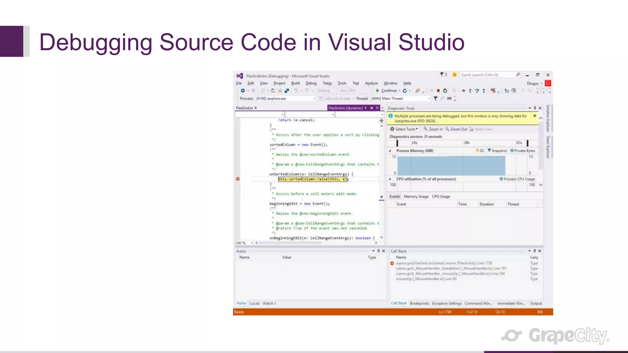 Debugging Source Code in Visual Studio
 