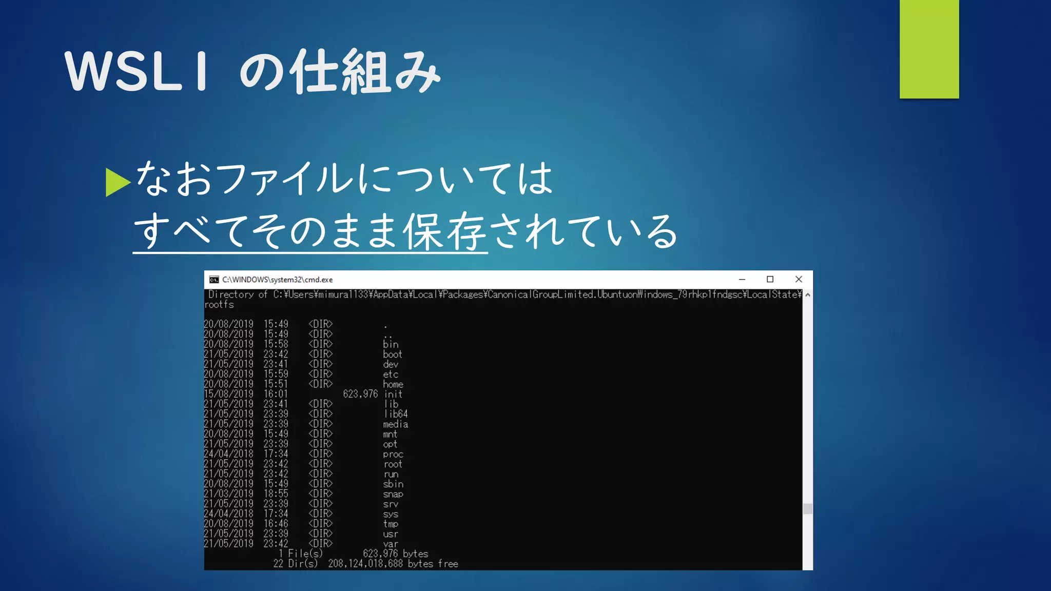 ＷＳＬ１ の仕組み
なおファイルについては
すべてそのまま保存されている
 