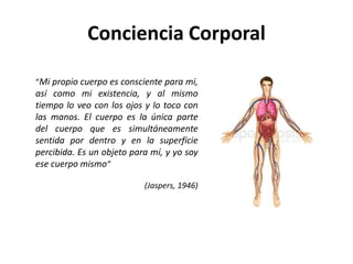 Conciencia Corporal
“Mi propio cuerpo es consciente para mi,
así como mi existencia, y al mismo
tiempo lo veo con los ojos y lo toco con
las manos. El cuerpo es la única parte
del cuerpo que es simultáneamente
sentida por dentro y en la superficie
percibida. Es un objeto para mí, y yo soy
ese cuerpo mismo”
(Jaspers, 1946)
 