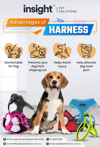 14/167 Eagle Street Brisbane QLD 4000 07 3607 6392
contact@insightpetsolutions.com.au www.insightpetsolutions.com.au
Comfortable
for Dog
Prevents your
dog from
slipping out
Helps Avoid
injury
Help alleviate
dog back
pain
Advantages of
HARNESS
 