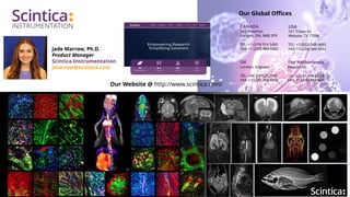 UK
London, England
TEL: +44 2045 252069
FAX: +1 (226) 884 5502
CANADA
562 Waterloo
London, ON, N6B 2P9
TEL: +1 (519) 914 5495
FAX: +1 (226) 884 5502
USA
721 Tristar Dr,
Webster, TX 77598
TEL: +1 (832) 548 0895
FAX: +1 (226) 884 5502
Our Website @ http://www.scintica.com/
The Netherlands
Maastricht
TEL: +31 43 808 00 14
FAX: +1 (226) 884 550
Jade Marrow, Ph.D.
Product Manager
Scintica Instrumentation
jmarrow@scintica.com
Our Global Offices
 