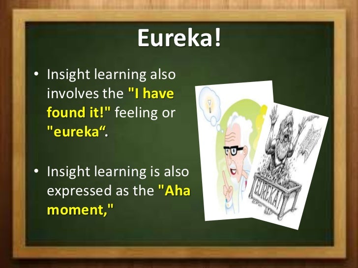 insightful learning insight learning