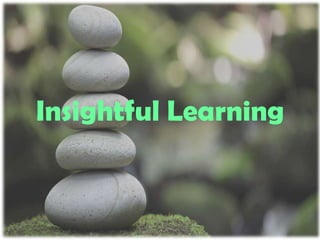 Insightful Learning
 
