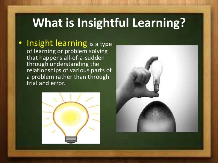 define insight