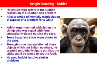 Insight learning - Kohler
•   Insight learning refers to the sudden
    realisation of a solution of a problem
•   After a period of mentally manipulation
    of aspects of a problem for a while

•   Kohler experimented with Sultan the
    chimp who was caged with food
    strategically placed outside the cage.
•   Some boxes and sticks were placed in
    the cage.
•   Through some manipulation of these
    objects which got Sultan nowhere, he
    seemed to suddenly figure out that the
    sticks could be joined to get the food.
•   He used Insight to solve similar
    problems
 