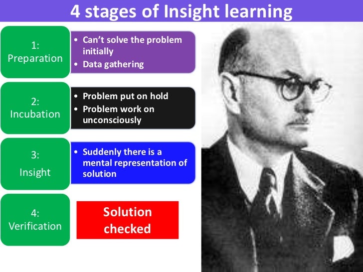 insight learning vce u4 psych insight learning