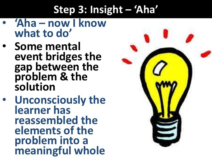 insight learning vce u4 psych insight learning