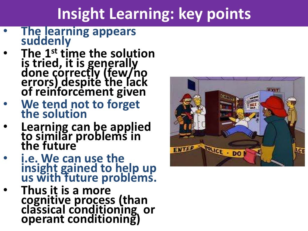 Insight Learning VCE U4 Psych