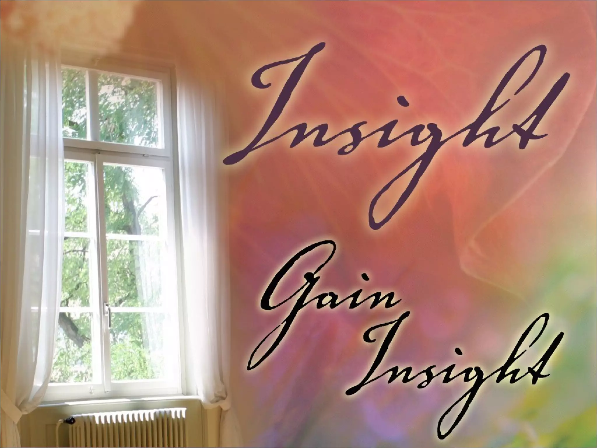 Gain Insight 