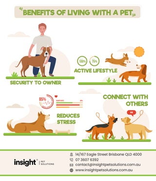 BENEFITS OF LIVING WITH A PET
14/167 Eagle Street Brisbane QLD 4000
07 3607 6392
contact@insightpetsolutions.com.au
www.insightpetsolutions.com.au
85% 80%
HEARTH RATE
REDUCES
STRESS
CONNECT WITH
OTHERS
HI
SECURITY TO OWNER
75%
ENERGY
100%
HEALTH
ACTIVE LIFESTYLE
 