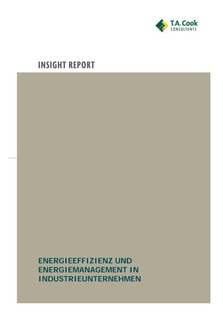 ENERGIEEFFIZIENZ UND
ENERGIEMANAGEMENT IN
INDUSTRIEUNTERNEHMEN
 